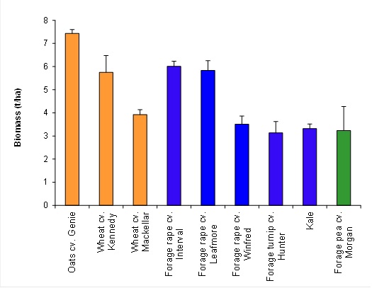 Figure 2. Biomass production from 3 winter forage cereals (orange), 5 forage brassicas (blue) and a forage pea on the Eastern Darling Downs in 2012.