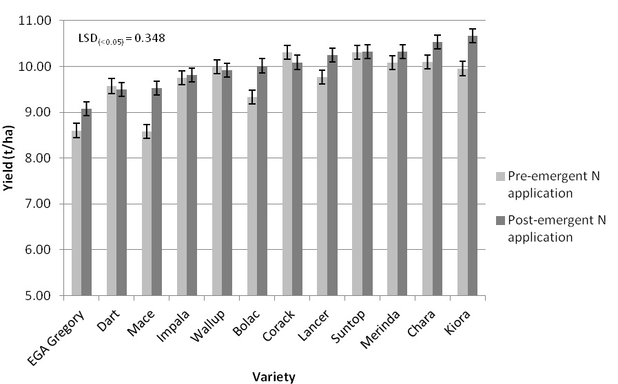 Figure 4. Wheat variety and nitrogen application interaction on grain yield at LFS, 2014.