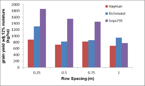 Figure 13. Effect of row spacing on yields of 3 soybean varieties at Kingsthorpe 2013/14  (kg/ha) (LSD 5% 458.4)