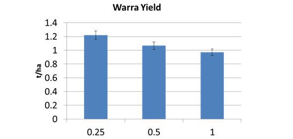 Figure 3. Warra row spacing yields for all varieties 2013/14 (LSD 5% 0.258)