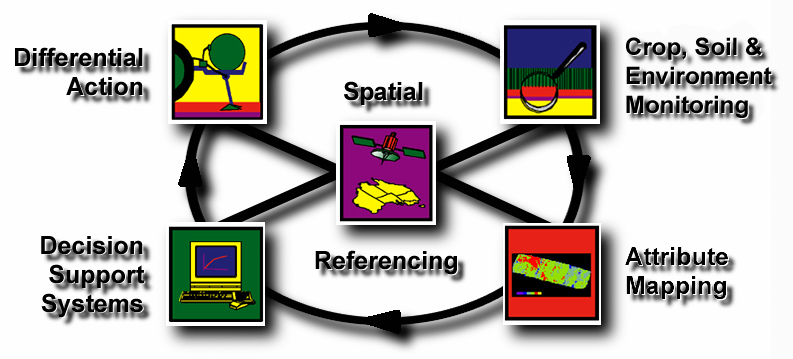 Figure 1: The Site-Specific Crop Management (SSCM) cycle.
