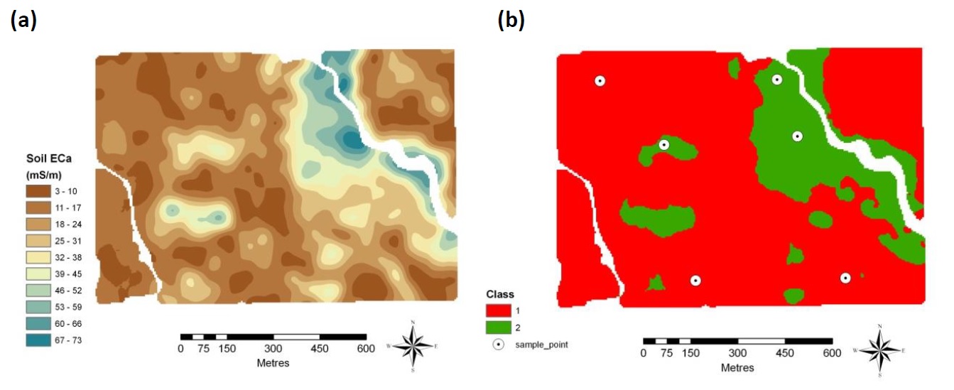 Figure 3: Soil ECa map (a) and a potential management class map (b) used for soil pH sampling.
