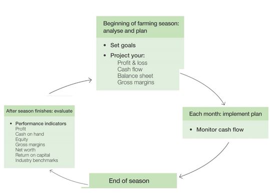 Figure 4: The yearly planning cycle.