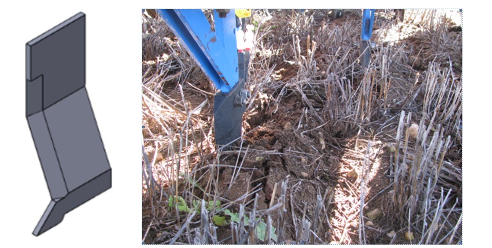 Figure 2. Bent leg furrow opener (left) with offset soil disturbance pattern in the field (right).