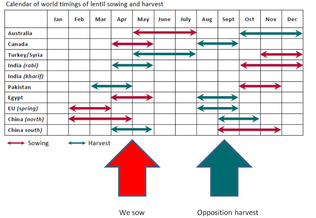 Figure 1: Calendar of world timings of lentil sowing and harvest and when we sow in relation to this.