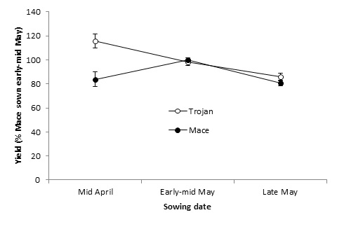 Figure 3. Mean yield performance (Minnipa, Cummins, Port Germein, Hart, Tarlee) of TrojanA and MaceA at different times of sowing relative to MaceA sown in its optimal window of early-mid May. 