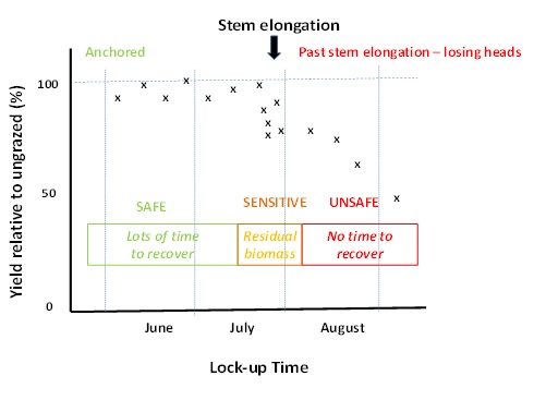 Figure 1. Yield recovery (% of ungrazed crop) of grazed dual-purpose crops highlighting the safe, sensitive and unsafe periods of grazing. Yield recovery from grazing during the sensitive period is affected by residual biomass at lock-up.  Late grazing reduces time for grain yield recovery. 