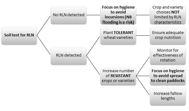 Figure 1. RLN management flow chart