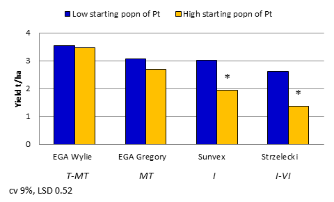 Figure 2. Comparison of wheat variety yield under ‘low’ and ‘high’ starting populations of Pt near Yallaroi 2012. (Trial RH1213)
