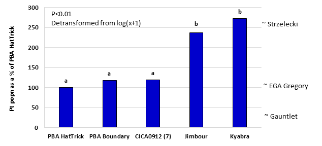 Figure 6. Comparison of Pt population remaining between desi varieties as a % of PBA HatTrick , 2010-2014. All varieties evaluated in all 9 trials except CICA0912 (only 7 trials) The position of the wheat varieties on the RHS of the graph indicate our best current estimate of comparison between these varieties for Pt build-up.  This data has been generated where desi chickpeas and wheat have been grown at the same trial site.