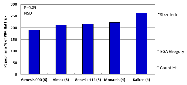 Figure 7.  Comparison of Pt population remaining between kabuli varieties as a % of PBA HatTrick , 2010-2014. (Number) indicates the number of field trials in which the variety was evaluated. NSD= No significant difference between treatments. The position of the wheat varieties on the RHS of the graph indicate our best current estimate of comparison between these varieties for Pt build-up.  This data has been generated where kabuli chickpeas and wheat have been grown at the same trial site.  