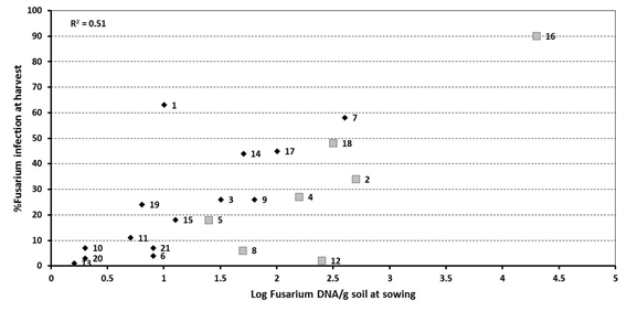 Figure 2. Effect of ‘spiked’ samples at 7 sites on the relationship between at sowing DNA levels of Fusarium using PreDicta B® and incidence of crown rot infection at harvest – 2013. Sites spiked with stubble represented by larger grey squares (sites 2, 4, 5, 8, 12, 16 and 18)