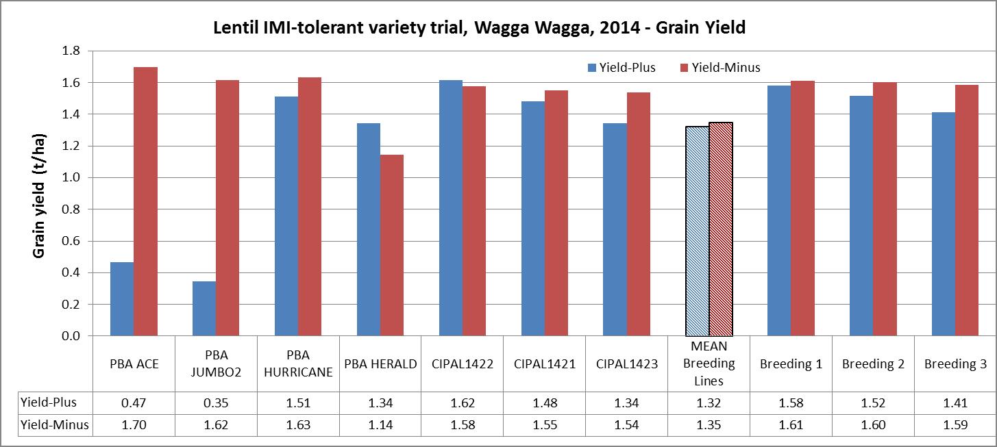 Figure 3: IMI-tolerant variety trial grain yield of four commercial and a selection of breeding lines when treated with ‘Plus’ and ‘Minus’ 400g/ha Belta® 700 WG (700g/kg Imazethapyr) on June 22, Wagga Wagga, 2014 (Trial sown on May 8, 2014).