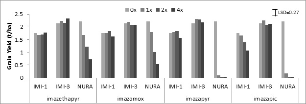 Figure 4: Yield response of IMI-1, IMI-3 and Nura at increasing rates of four different imidazolinone herbicides, Kybunga and Pinery 2014. LSD shown at p=0.05.