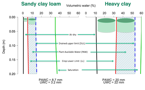 Conceptual diagram of the difference in unavailable water bucket size (UWC) in the surface 20 cm of a sandy clay loam and a heavy clay soil