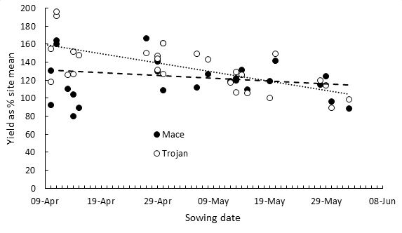 Line graph showing figure 1 a, Mean yield at SA sites and Linear regressions for Mace and Trojan.