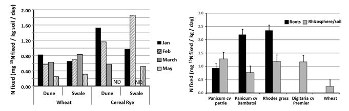 Figure 4: Amount of FL-N fixation in soils collected from field experiment at Karoonda in SA during summer of 2011/12 (left) and with summer-active perennial grasses (right).