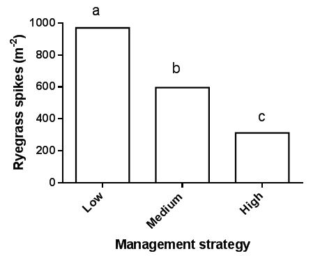 Figure 2: Effect of management strategy on annual ryegrass spike numbers at harvest at Lake Bolac in 2015. RT canola was sown in 2014 and wheat in 2015. Management strategies are listed in Table 5. Different letters indicate significant differences between means.