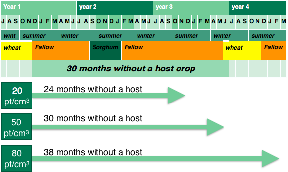 Figure 6. An example of a non-host fallow showing the time required to reduce different starting populations of  root-lesion nematode.