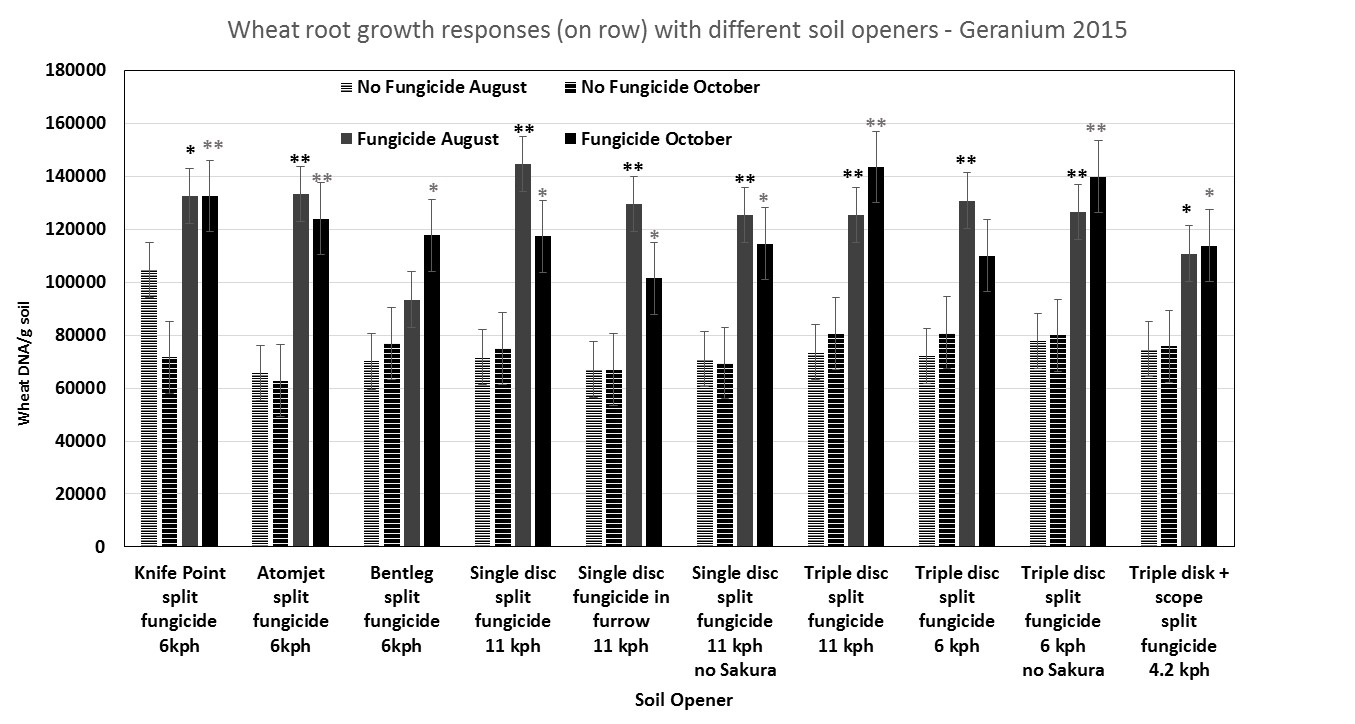 Figure 4: Effect of soil openers +/- fungicide on wheat root growth on row at Geranium in October 2015 (bars are standard errors SE).