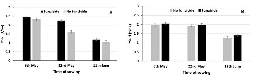 Figure 6: Yield responses of A Scope barley and B Grenade CL Plus wheat +/- fungicide at early, mid and late season sowing times at Wilkawatt 2015 (bars are standard error of difference, SED).