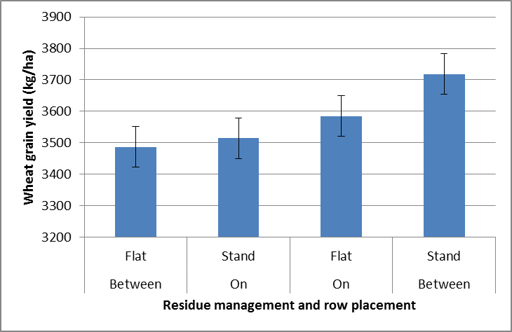 Figure 2. Effect of row placement (relative to the 2012 wheat crop) and stubble management in the  2013 chickpea crop on grain yield (kg/ha) in the 2014 wheat crop