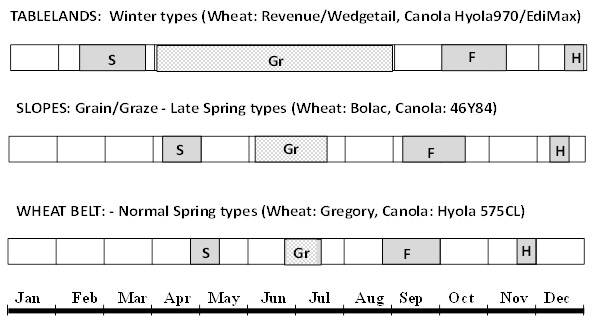 Figure 1.  Increased grazing window of early-sown, longer-season winter varieties in longer-season Tablelands areas compared to spring types in the cropping zones. (Typical windows shown are S=Sow, Gr=graze, F=flowering, H=harvest).  (​Varieties Revenue, Wedgetail, Bolac and Gregory are protected under Plant Breeders Rights Act 1994) ( ® Hyola is a registered trademark)