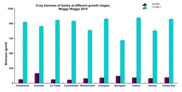 Figure 6: Comparison of early to late crop biomass of barley.