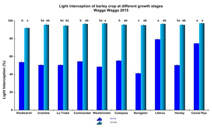 Figure 7. Differences in per cent light interception at two critical growth stages of barley.