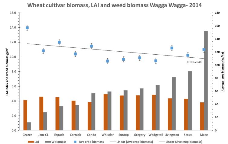 Bar chart showing wheat cultivar biomass.
