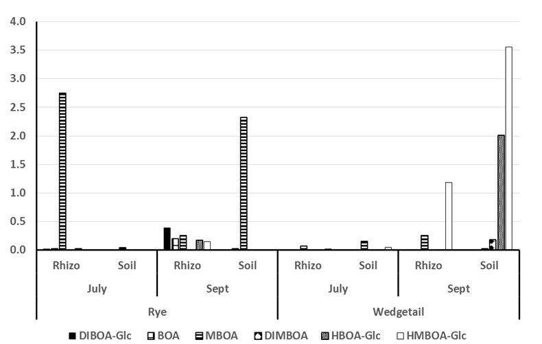 Bar chart showing concentration of metabolites in soils of wheat.