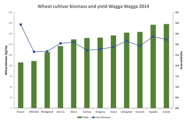 Bar chart showing wheat cultivar biomass and yield.