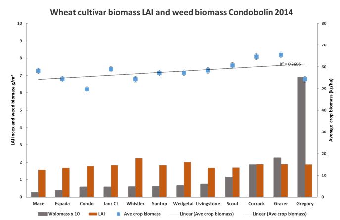 Bar chart showing wheat cultivar biomass.