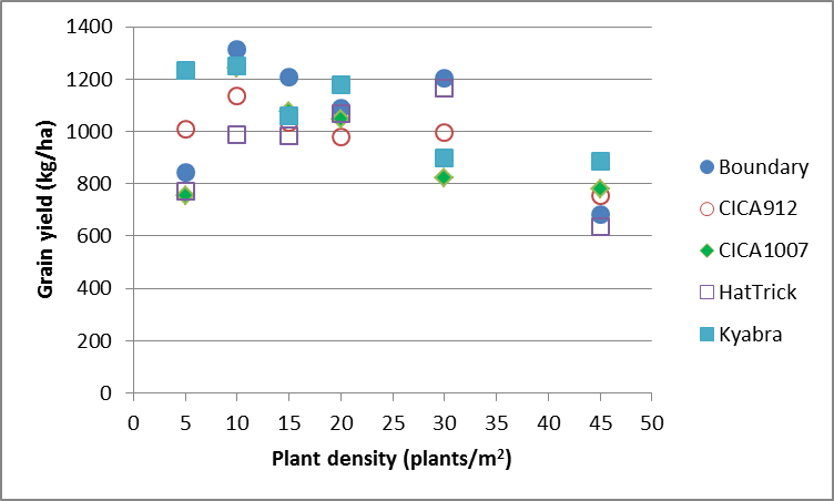 Figure 2. Effect of Chickpea variety x density on grain yield (kg/ha) at Rowena for 2015