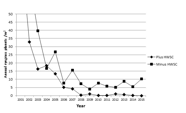 A line graph showing Figure 1 Focus paddocks and surviving ryegrass numbers in spring.