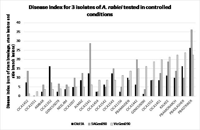 Figure 1: Reaction of chickpea NVT lines against three isolates of A. rabiei tested in controlled conditions at SARDI, December 2015.