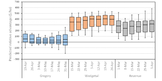 Figure 3. Predicted economic advantage of dual-purpose graze + grain for Gregory, Wedgetail and Revenue sown on different dates at Walgett compared to a Gregory grain only crop sown on 10 May each year. Dual-purpose crop economic assumed a grazing allowance of 20 kg per animal per day, a daily liveweight gain of 1.2 kg per day per animal and a price of $1.8/kg LW and grain yield was reduced by 15%; grain price was assumed to be $270/t.