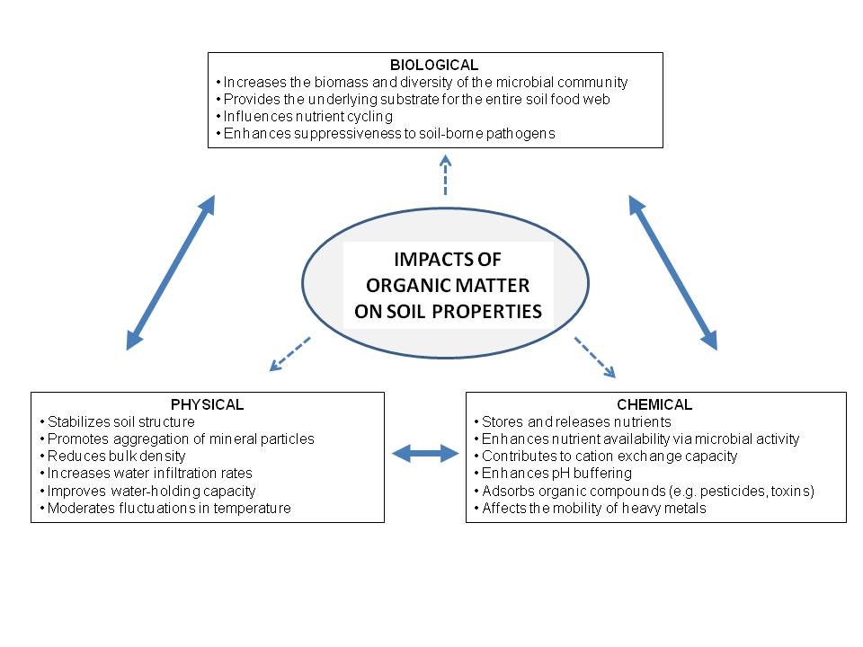 Figure 1. Impacts of soil organic matter on soil properties