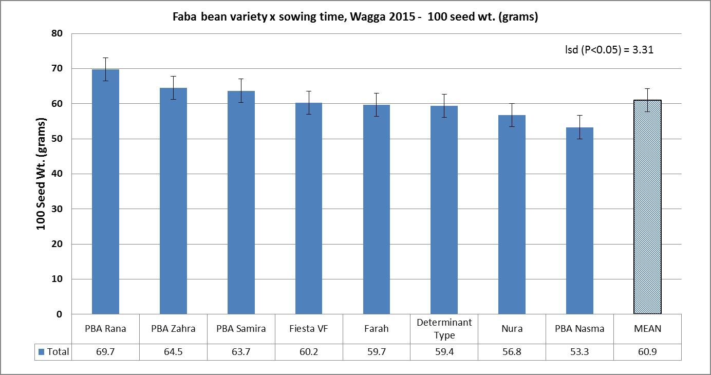 Figure 3: Effect of faba bean variety on grain weight at Wagga Wagga, 2015.