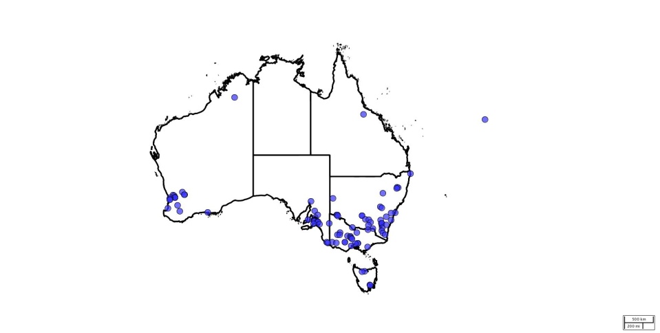 A map of Australia mapping data points that show distribution of witchgrass.