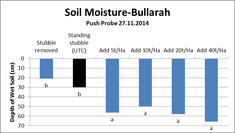 Figure 8. Depth of wet soil at Bullarah, November 2014