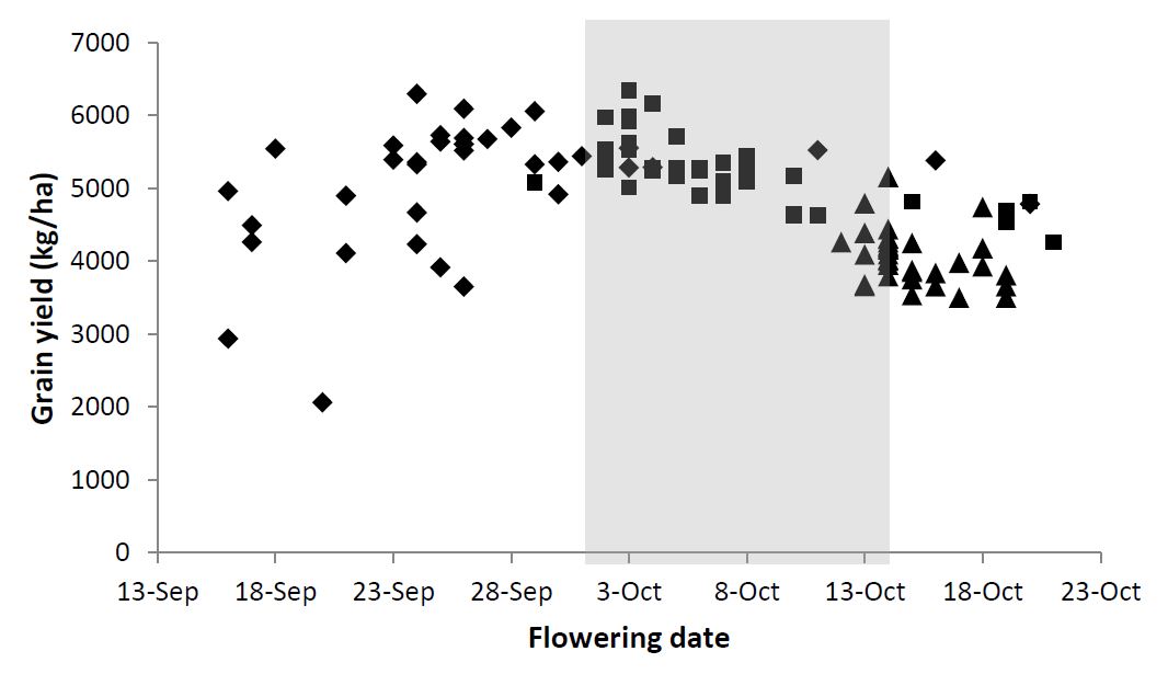 Figure 2:. Mean flowering date (DC65) and grain yield for 36 wheat varieties and three sowing times (■  15 April, ? 5 May, and ▲  25 May) at Wagga Wagga, 2015. Shaded area indicates optimal flowering window.