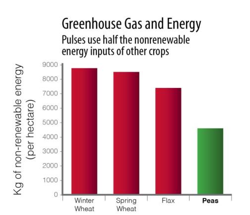 Figure 2: Greenhouse gas and energy use for peas compared with other agricultural commodities.