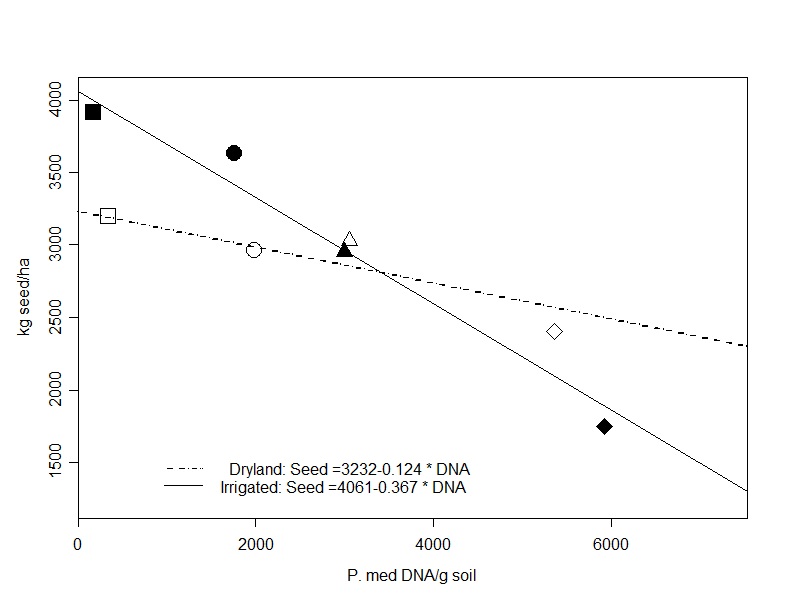 Figure 1. Multiple regression for plot soil Pm concentrations at sowing vs. grain yield for dryland (black symbols) and irrigated (white symbols) treatments (model R2 = 0.745), treatment means presented.