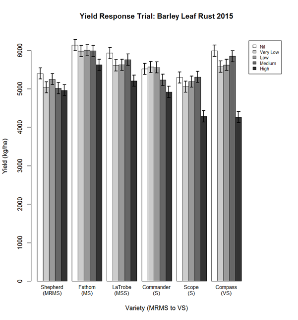 Figure 3. Yield response of barley varieties at different disease levels in 2015