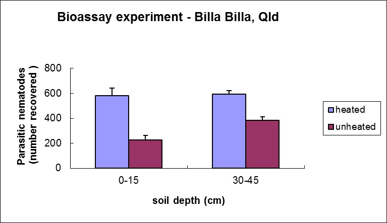 Figure 1.  Results of one bioassay on a soil from a cropped (wheat/sorghum) paddock from Billa Billa showing that biological suppression of parasitic nematodes (difference between numbers recovered after adding nematodes to the heated and unheated soils)  is greater  in the 0-15cm layer of soil than in the 30-45  cm layer
