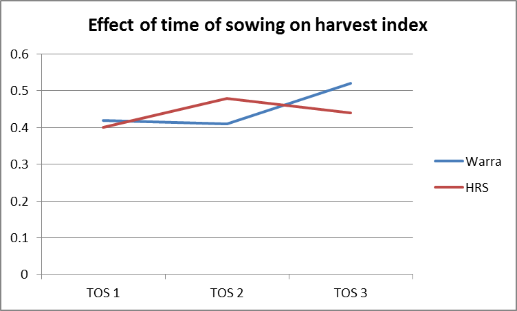 Figure 7. Effect of time of sowing on harvest index, HRS & Warra 2015 (LSD Warra – 0.08, HRS – 0.048)