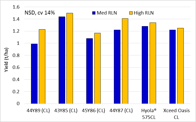 Figure 2.  Brassica yields in the ‘med’ and ‘high’ Pt strips (all canola except the B juncea Xceed Oasis CL)