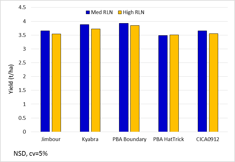Figure 4. Chickpea yields for key lines in the ‘med’ and ‘high’ Pt strips (Kyabra, PBA Boundary and PBA HatTrick are protected under the Plant Breeders Rights Act 1994)