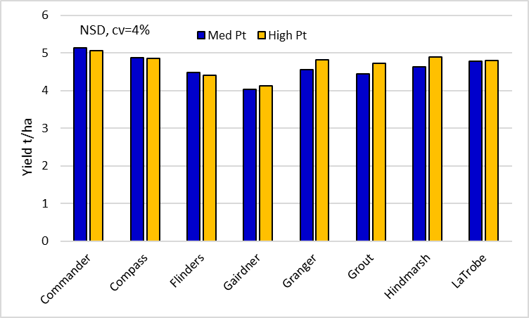 Figure 8.  Barley yields for key lines in the ‘med’ and ‘high’ Pt strips. (Commander, Compass, Flinders, Granger, Grout, Hindmarsh and La Trobe are protected under the Plant Breeders Rights Act 1994)